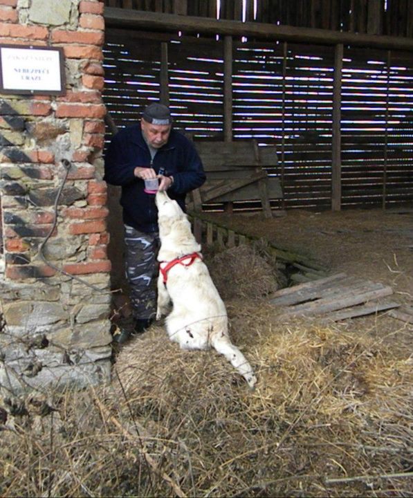 Vojslavice zima 2011/2012 009