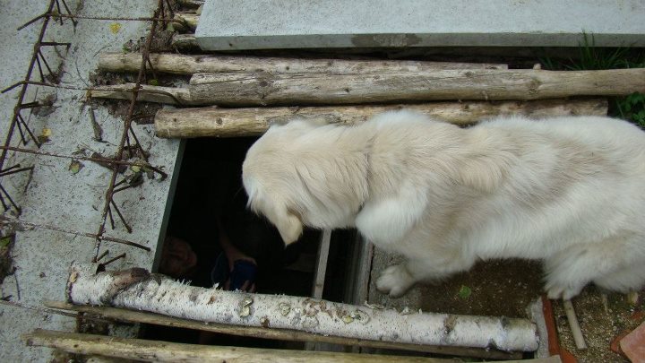 SPÁLENIŠTĚ 2012 026