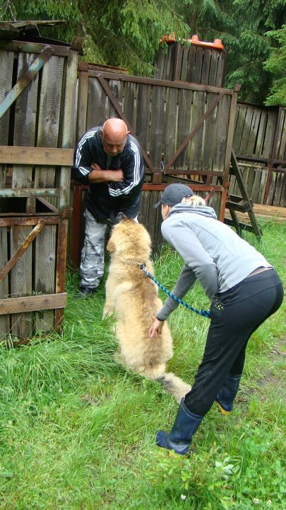 SPÁLENIŠTĚ 2012 027