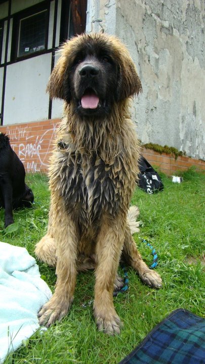 SPÁLENIŠTĚ 2012 044