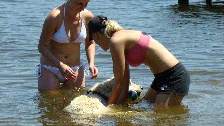 SPÁLENIŠTĚ 2012 054
