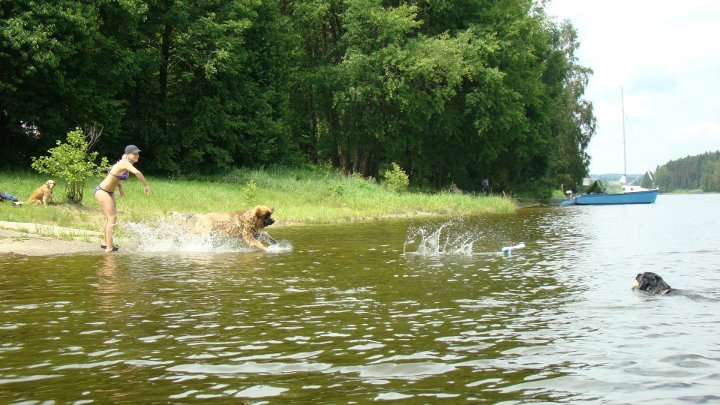 SPÁLENIŠTĚ 2012 059
