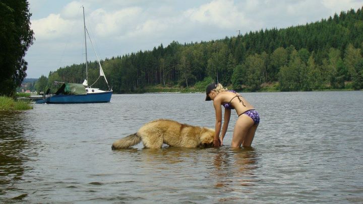 SPÁLENIŠTĚ 2012 061